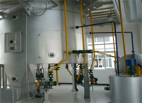 Test de machine d'extraction de presse à huile de tournesol au Niger