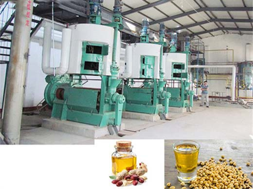 Machine d'extraction d'huile de vis de soja d'arachide en Guinée