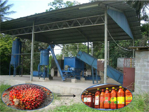 ligne de production d'huile de palme de haute réputation en Guinée