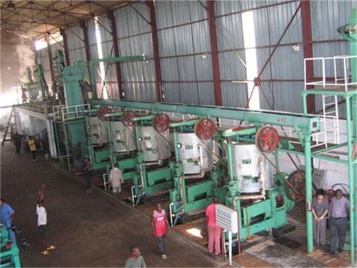 Ligne de production d'huile d'arachide Machine de fabrication d'huile de palme