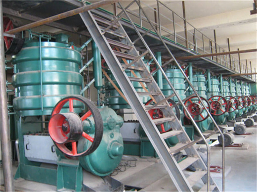 Machine de presse à huile de palme à vis utilisée à la maison au sénégal