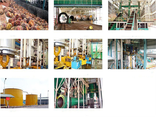 Machine de fabrication d'huile de palme faisant de l'huile d'arachide