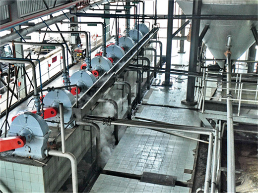 usine de presse à froid d'huile de soja hydraulique de palme au togo