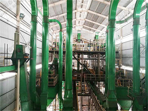 lignes de production d'huile de palme machine à huile en france