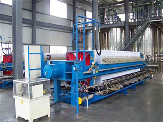 Machine de presse d'extraction d'huile d'arachide de palme au Cameroun