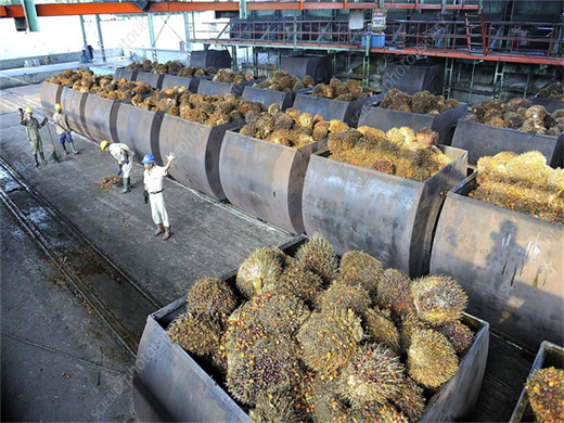 Presse horizontale pour fibres de palmier à huile au Maroc