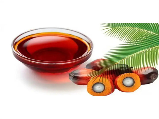 plantations de palmiers à huile de qualité fiable en Guinée
