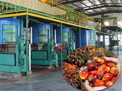 principaux consommables pour une usine d'huile de palme en tunisie