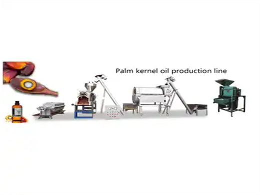 Machine d'extraction d'huile de palmiste d'arachide au Tchad