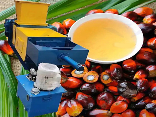 usine de traitement automatique d'huile d'arachide de palme du Congo